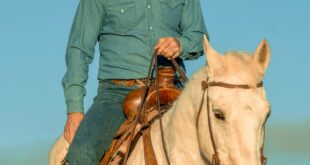 Dennis Quaid and More Partner with Horses for Mental Health