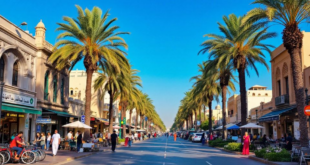 Business Setup Consultants in Sharjah