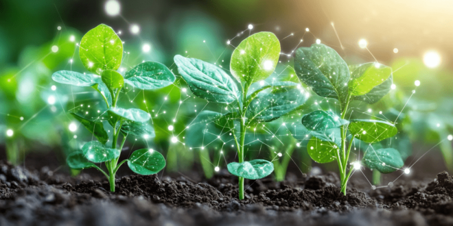 AI Farming Revolution: Transforming Agriculture for a Sustainable Tomorrow