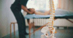 Finding the Right Chiropractor in Ocoee, FL: Key Questions to Consider