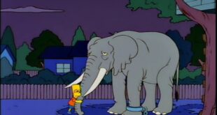Swift ‘Simpsons’ Summaries: “Bart Gets An Elephant”
