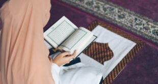 Quran Memorization for All Ages: Learn Anytime, Anywhere