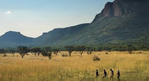 Exploring Marakele and Madikwe: A South African Safari Itinerary