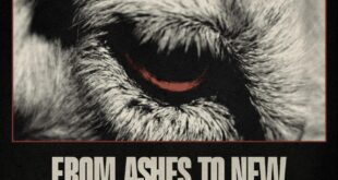 BLACK VEIL BRIDES Announce 2026 Headline Tour