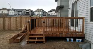 Calgary Decks: Pressure-Treated, Composite, or Cedar? The Ultimate Guide to Alberta Climate Durability