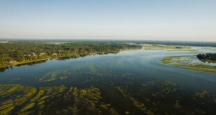 Why Coastal Living Encourages Outdoor-First Living