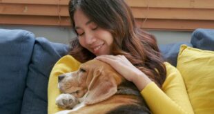 Why Pet Owners Should Clean More Regularly