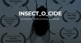INSECT_O_CIDE  A FILM ABOUT THE SMALL CREATURES DESTINED FOR THE BIG SCREEN