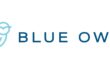 Blue Owl Capital
