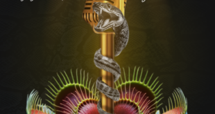 Cello’s “Singing to Serpents” LP: Confession, Collision, and the Sound of a Soul Unfiltered