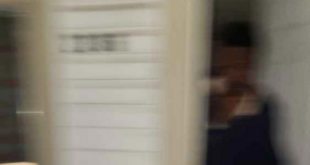 INTERVIEW: Forrest Wood