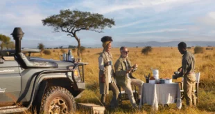 What Makes a Safari Truly Luxury in Tanzania?