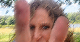 Say It Like You Mean It: Pam Ross Turns Domestic Bliss into a Rebellion