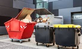 Skip Bins