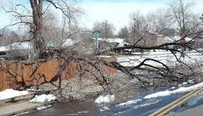 Tree Damage in Winter Storms_ When to Call Emergency Restoration
