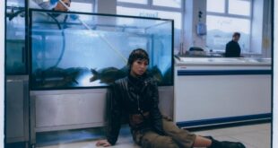 beabadoobee Returns with New Single & Video “All I Did Was Dream Of You (feat. The Marías)”