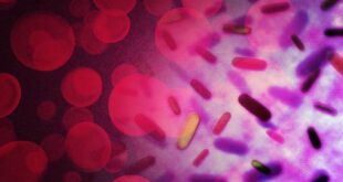 Protecting Your Household From Invisible Environmental Threats