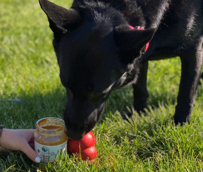 Green Coast Pet: Natural Pet Treats and Functional Solutions for Everyday Pet Wellness