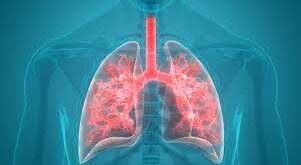 The Respiratory System of Your Home