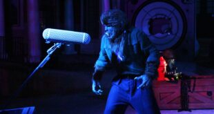 Universal Studios Hollywood Summons Fans to Fan Fest Nights