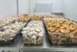 mushroom