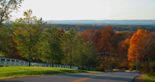 Thomson Reserve to Replace 255 Unit Thomson View on Bright Hill Drive