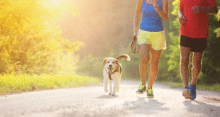 Hobbies That Can Greatly Improve Health and Fitness