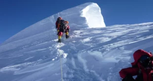 Himalayan