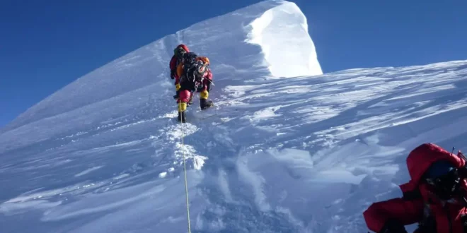 Himalayan