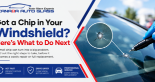 Got a Chip in Your Windshield? Here’s What to Do Next