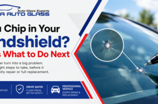 Got a Chip in Your Windshield? Here’s What to Do Next
