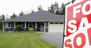 How Much Can a Great Yard Add to Your Home’s Value?
