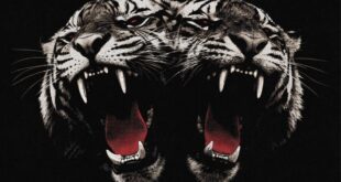 ROYAL BLOOD’S NEW SINGLE “DEAD COMPANY” OUT NOW