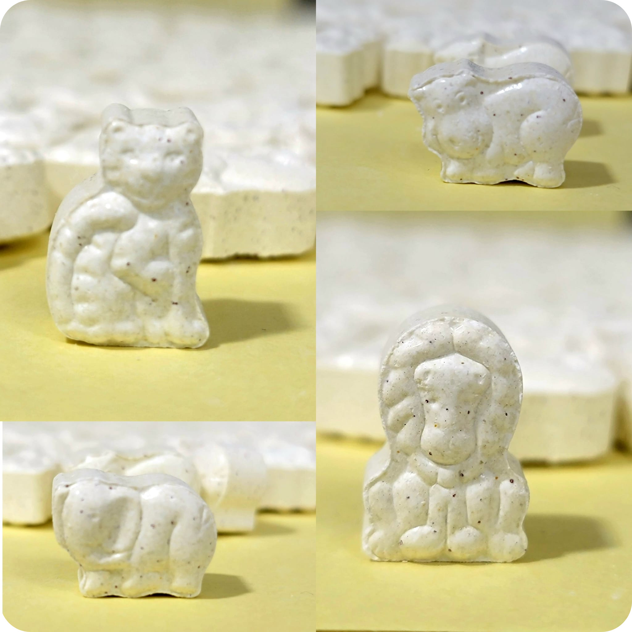 The Science of Chewables and Powders in Pet Supplement Manufacturing